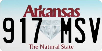 AR license plate 917MSV