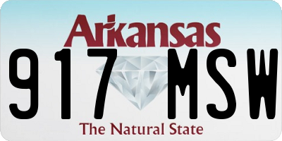 AR license plate 917MSW