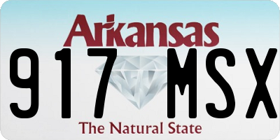 AR license plate 917MSX