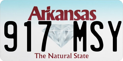 AR license plate 917MSY