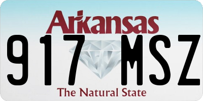 AR license plate 917MSZ