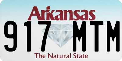 AR license plate 917MTM
