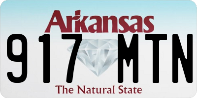 AR license plate 917MTN