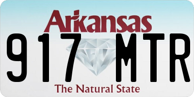 AR license plate 917MTR