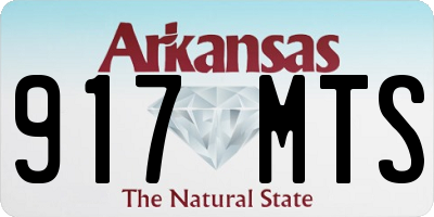 AR license plate 917MTS
