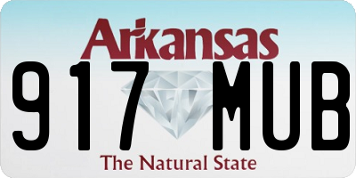 AR license plate 917MUB