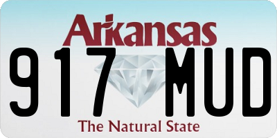 AR license plate 917MUD