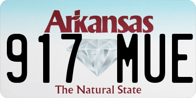 AR license plate 917MUE