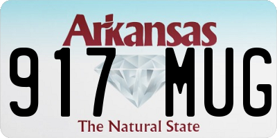 AR license plate 917MUG