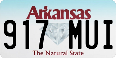 AR license plate 917MUI