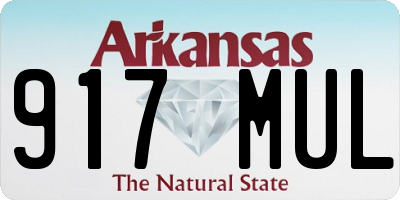 AR license plate 917MUL