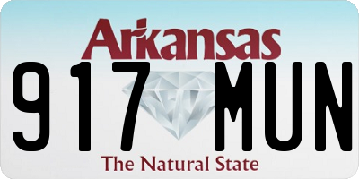 AR license plate 917MUN