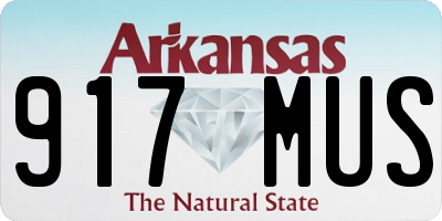 AR license plate 917MUS