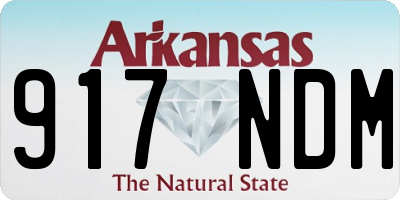 AR license plate 917NDM