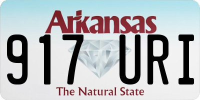 AR license plate 917URI