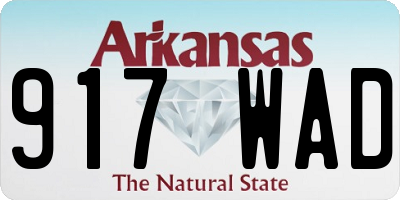 AR license plate 917WAD