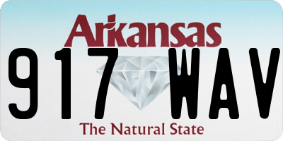 AR license plate 917WAV