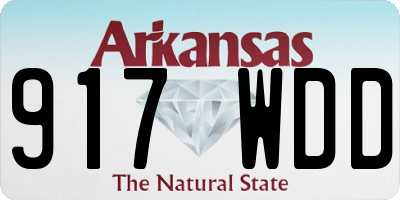 AR license plate 917WDD