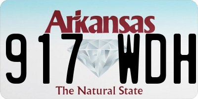 AR license plate 917WDH