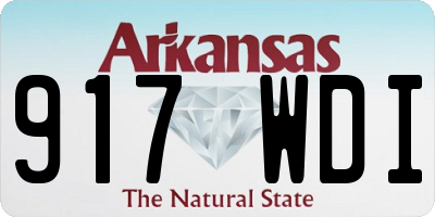 AR license plate 917WDI
