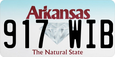 AR license plate 917WIB
