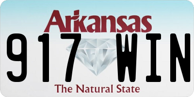 AR license plate 917WIN