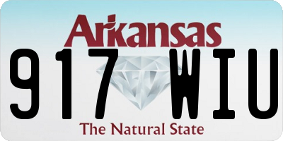 AR license plate 917WIU