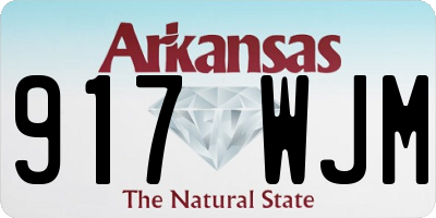 AR license plate 917WJM