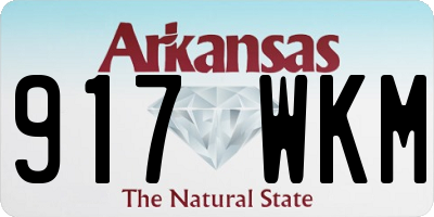AR license plate 917WKM