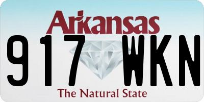 AR license plate 917WKN
