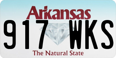 AR license plate 917WKS