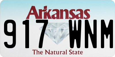 AR license plate 917WNM