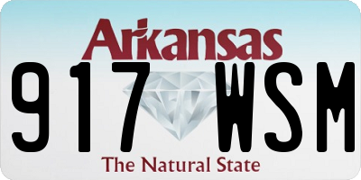AR license plate 917WSM
