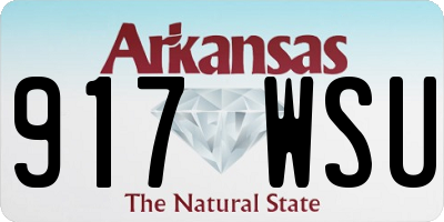 AR license plate 917WSU