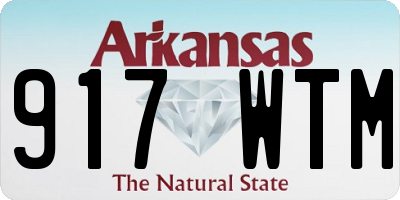 AR license plate 917WTM