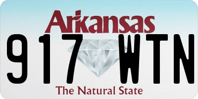 AR license plate 917WTN