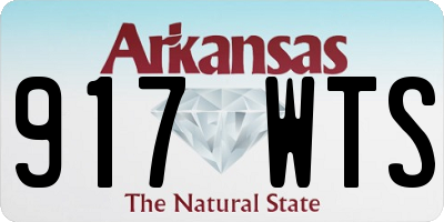 AR license plate 917WTS