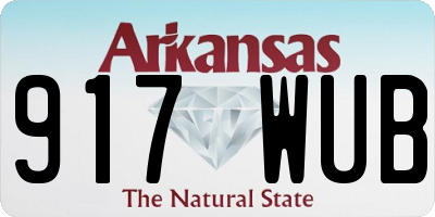 AR license plate 917WUB