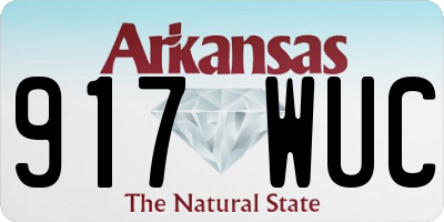 AR license plate 917WUC