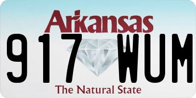 AR license plate 917WUM