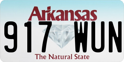 AR license plate 917WUN