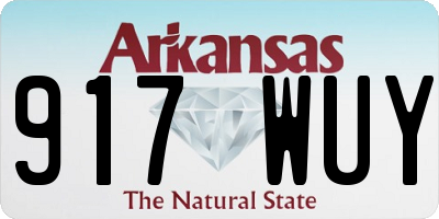 AR license plate 917WUY