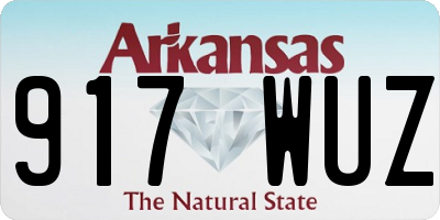 AR license plate 917WUZ