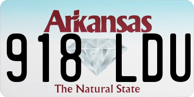 AR license plate 918LDU