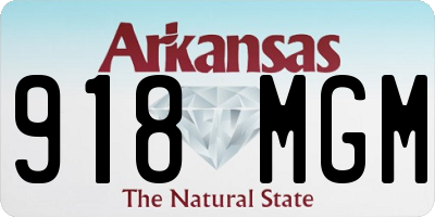 AR license plate 918MGM