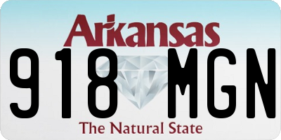 AR license plate 918MGN