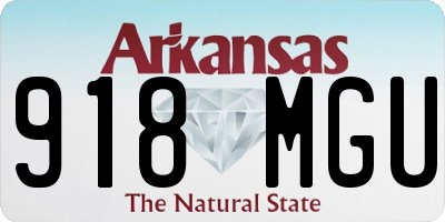 AR license plate 918MGU