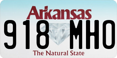 AR license plate 918MHO