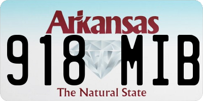 AR license plate 918MIB