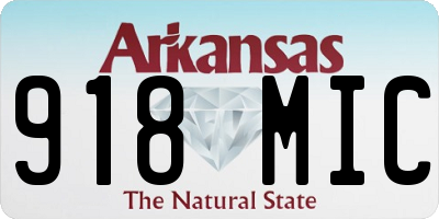 AR license plate 918MIC